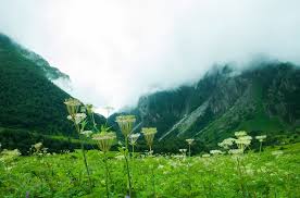 Our fresh happy birthday flower arrangements and bouquets will make them smile. Bhyundar Valley Trekking Explore The Valleys Of The Flowers Of India Asia Travel Leisure