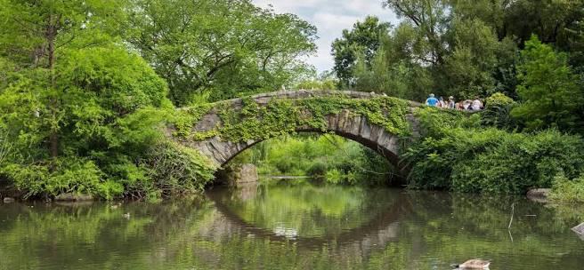 Official Tour: Hallett Nature Sanctuary… | Central Park Conservancy
