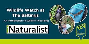 Wildlife Watch at The Saltings: An Introduction to...