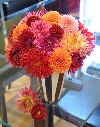 Dahlia My Favourite Flower Beautiful Flowers Flower Arrangements Pretty Flowers