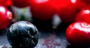 Micronutrition Tout Savoir Sur Les Polyphenols Laboratoire Lescuyer
