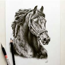 Pin Van Katarzyna Tkacz Op Szkic Paard Tekeningen Paarden Fries Paard