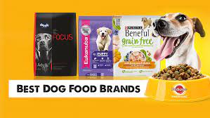 Without further ado let us start today's article on top 10 best dog food brands in india. Dogfoodonlinecheap Hashtag On Twitter