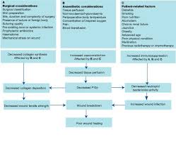 an overview of surgical site infections aetiology