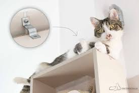 Katze in der leeren wohnung (polnisch kot w pustym mieszkaniu) ist ein gedicht der polnischen lyrikerin wisława szymborska. Katzensichere Wohnung Was Muss Ich Beachten Teil 1 Ratgeber