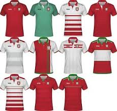 The changes in portugal national team football jersey have been dramatic where the modern kits for soccer fans, you also can access your favorite portugal national team football jersey that are. World Cup 2022 Portugal Football Soccer Polo T Shirt Ronaldo Nani Gomes Ebay