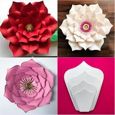 Flores de cartulina gran variedad exelente calidad en diseños tel 9983033934 paquetes para cortinas precios de mayoreo. Cartulina Molde Para Flor Novocom Top