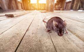 Hiring a exterminator to control pests, you will likely spend between $250 and $400. Batzner Resources Batzner Pest Control