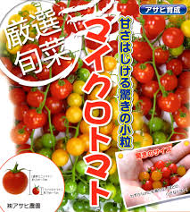 ミニトマト アサヒ育成 マイクロトマト シリーズ 赤 黄の2色 12月以降のお届け予定 野菜と花の種 苗 緑肥の通販 野菜作り 家庭菜園なら 清水屋種苗園藝 商品詳細