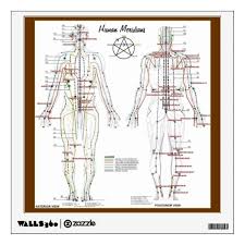 Human Meridians Pressure Point Chart Wall Decal