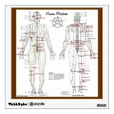 human meridians pressure point chart wall decal