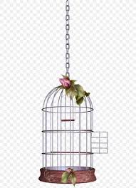 lovebird birdcage png 480x1129px bird bird nest bird supply birdcage cage download free lovebird birdcage png 480x1129px