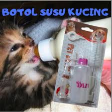 1 botol dot 60ml 1 sikat botol 2 susu kucing merk growssy #dotkucing #susukucing #susukucingmurah #susukitten #susugrowssy. Botol Susu Kucing Baby Kucing Set Botol Su