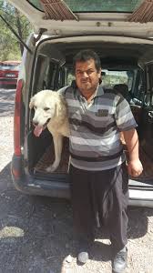 Hayvan Sahiplendirme Sistemimiz