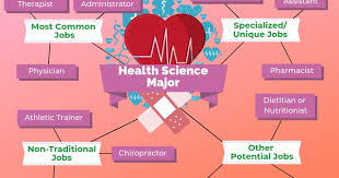 12 Jobs For Health Science Majors The University Network In 2020 Health Science Healthcare Administration Doctor Of Physical Therapy
