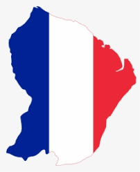 Perfect for websites, blogs, ads, and product design. French Flag Png Images Free Transparent French Flag Download Kindpng
