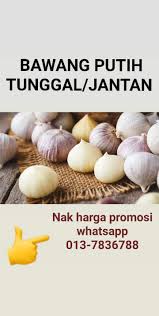 Bawang putih jantan mengandung organosulfur, yaiut diallil trisulfida yang bantu mengatasi kanker. Bawang Lanang Adalah Hal