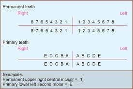 Prior numbering systems did not adequately meet these requirements. Jaypeedigital Ebook Reader