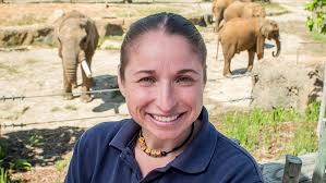 How much should an elephant weigh?