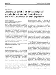 The body naturally produces small amounts of pleural fluid in order to lubricate the surfaces of the pleura, which is a serous membrane located within the pleural cavity that surrounds the lungs. Https Www Degruyter Com Document Doi 10 1515 Pp 2016 0007 Pdf