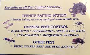Bed bugs are challenging to eradicate. Mega Budapest Control Kampung Baru Puchong Facebook
