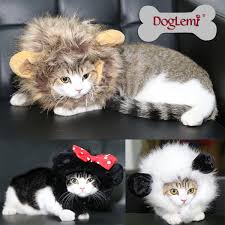 Kedi Aksesuarlari Pet Peruk Kedi Aslan Peruk Buy Kedi Aslan Peruk Noble Peruk Aslan Peruk Mane Sac Product On Alibaba Com