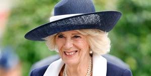 The Crown 5: chi è Mark Bolland, il consulente di Carlo e Camilla