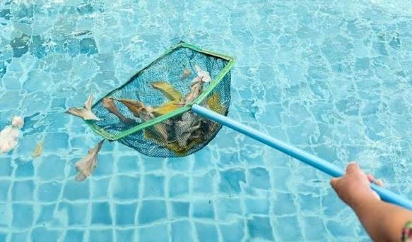 Hướng dẫn sử lý nước bể bơi sau mưa đơn giản hiệu qua