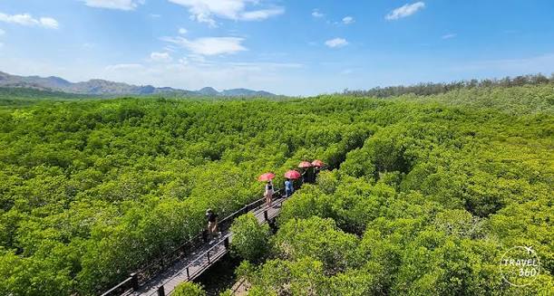 Pranburi Forest Park (Mangrove and Pine Forests) near WildWildWest Pool Villa Pranburi
