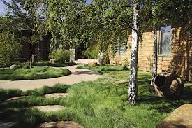 For each, we've included planting, watering, fertilizing, and pruning tips for every gardening zone. Pull A Design Together With Ground Covers Finegardening