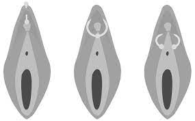 A Brief History of the Clitoris
