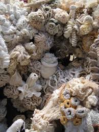 Pin De Lawana Beard Em Textures Cores Croche Fotos