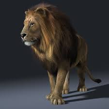 Lion Rigged Fur 3d Model Lion 3d Model Animals