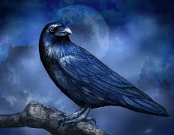Any of several similar birds of the genus corvus, found in. Blue Raven Kunstdrucke Newart Medien Design Shop