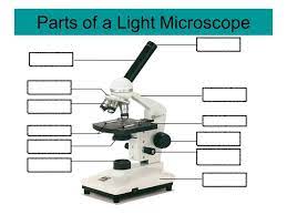 Maybe you would like to learn more about one of these? Parts Of The Microscope Diagram Quizlet