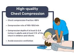 Solved: Use This Scenario To Answer Questions 8 And 9: A 9-Year-Old Child  Has Suddenly Collapsed. [Others]