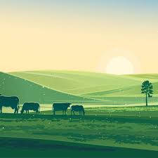 Dairy Farm in Arcadia, FL