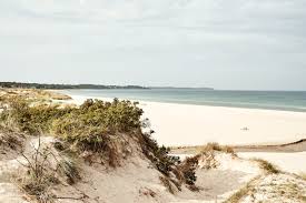 Search only for kopenhagen strand Die Schonsten Strande In Danemark Visitdenmark