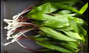 Eggplant is high in fiber but low in calories so it's great to cook with. What Are Ramps And Why Are People So Crazy About Them The Diamondback