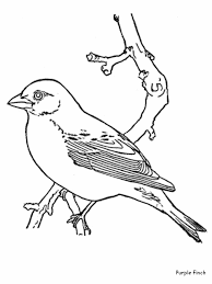 Free birds coloring pages to print and download. Coloring Book Birds Coloring Home