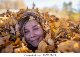 23+ Thousand Pile Bright Yellow Leaves Royalty-Free Images, Stock Photos &  Pictures