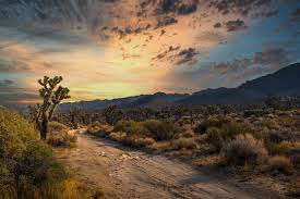 We would like to show you a description here but the site won't allow us. Conheca Os 16 Desertos Mais Fascinantes Do Planeta Go Outside