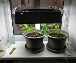 4.3 out of 5 stars. Diy Autonomous Fluorescent Grow Light 6 Steps With Pictures Instructables