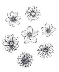 25 Beautiful Flower Drawing Ideas Inspiration Brighter Craft Beautiful Flower Drawings Flower Drawing Design Easy Flower Drawings