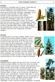 Unsere Wichtigsten Nadelbaume Klassenzimmer Gestalten Unterrichtsmaterial Sachkunde