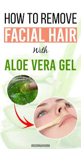 Besides, egg white is also a wonderful ingredient to remove facial hair. How To Remove Facial Hair With Aloe Vera Gel Aloe Vera Face Wash Aloe Vera Skin Care Aloe Vera For Skin