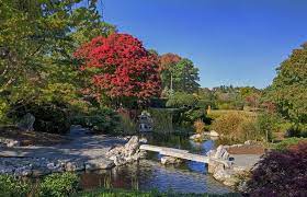 Japanese Garden Japanese Garden Virginia Beach Va Garden