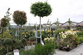 Founded in 1991, the company currently originates. Baumschulelenders Gartencenter