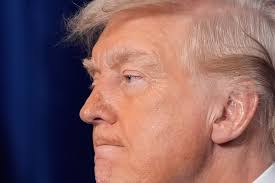 Obituary: Alice May Lewis Huber