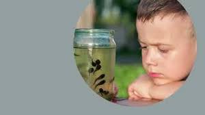 Exploring Nature with Kids: Barton Creek Greenbelt Hikes That Encourage  Curiosity and Confidence